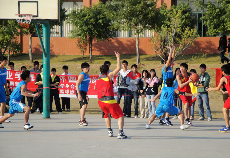 2025新澳门免费原料网