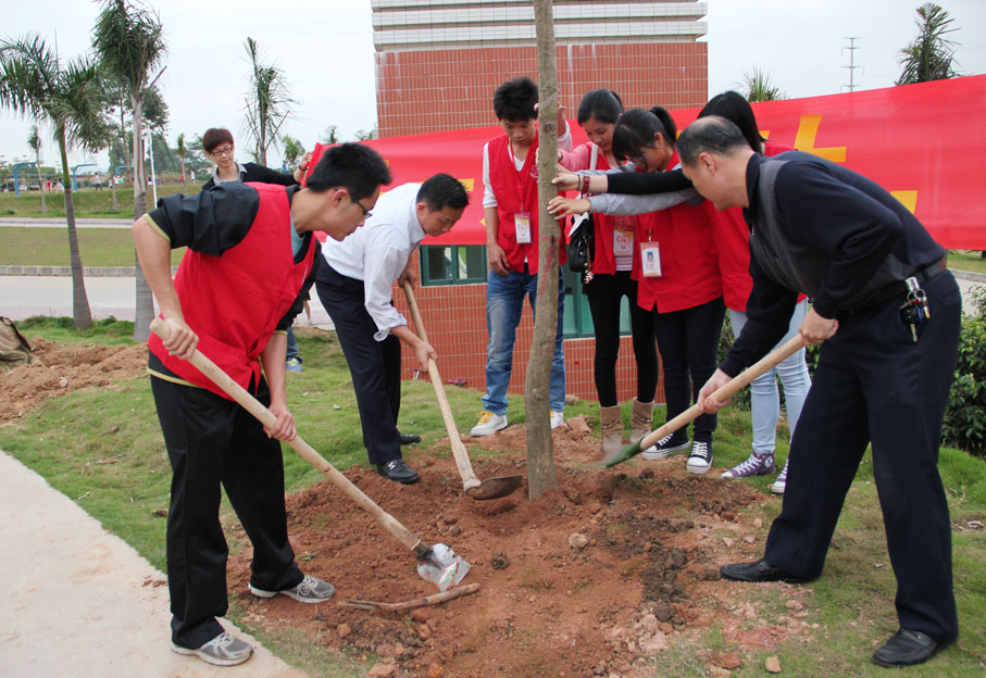 2025新澳门免费原料网