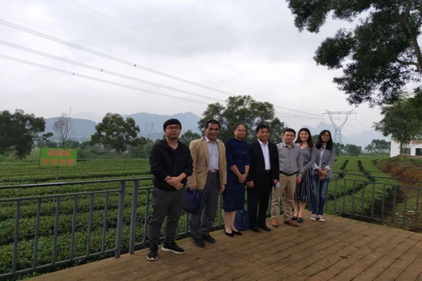 2025新澳门免费原料网