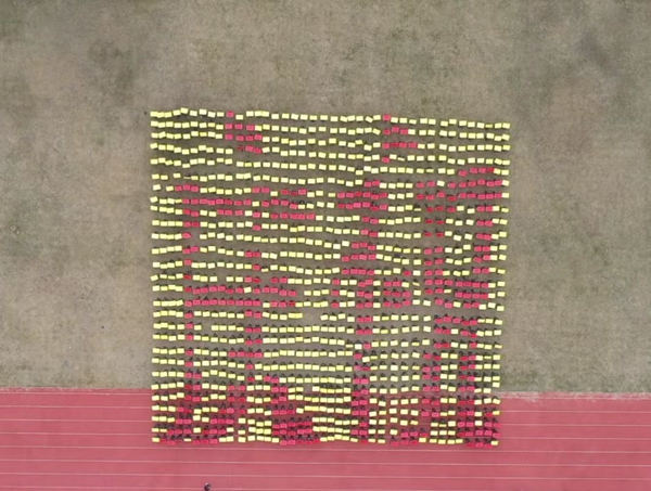 2025新澳门免费原料网