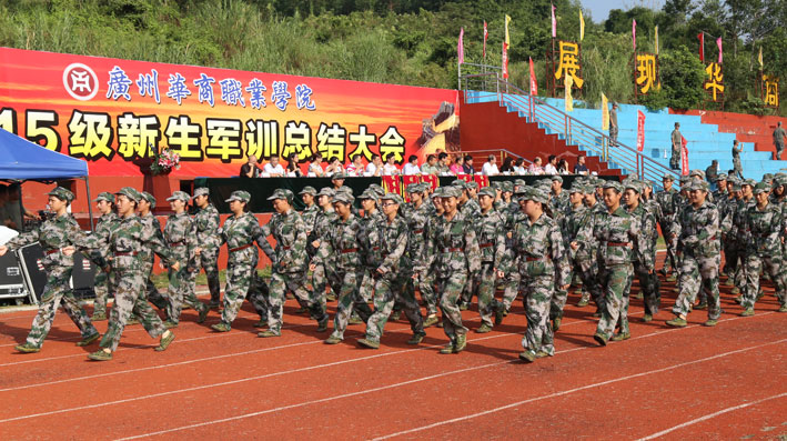 2025新澳门免费原料网