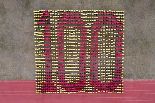 2025新澳门免费原料网