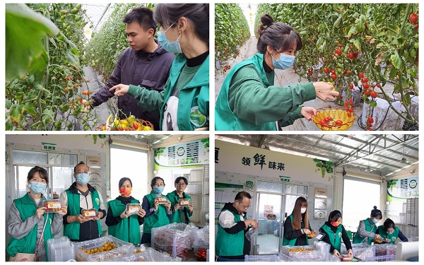 2025新澳门免费原料网