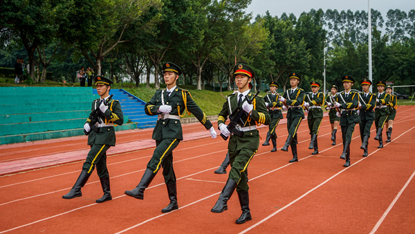 2025新澳门免费原料网