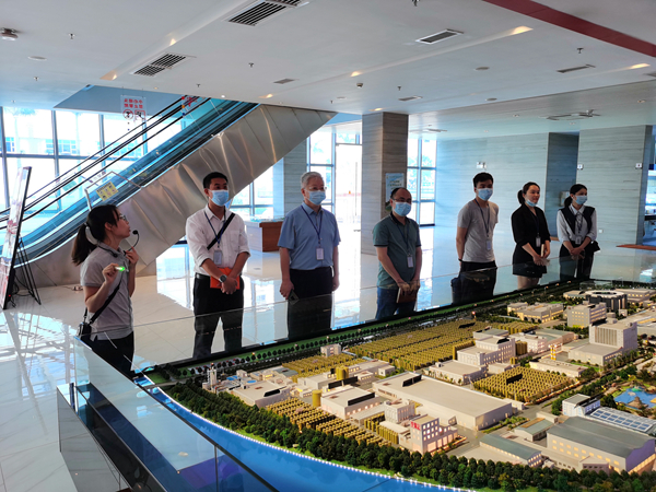 2025新澳门免费原料网