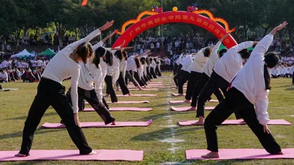 2025新澳门免费原料网