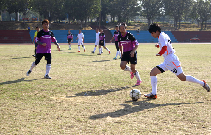 2025新澳门免费原料网