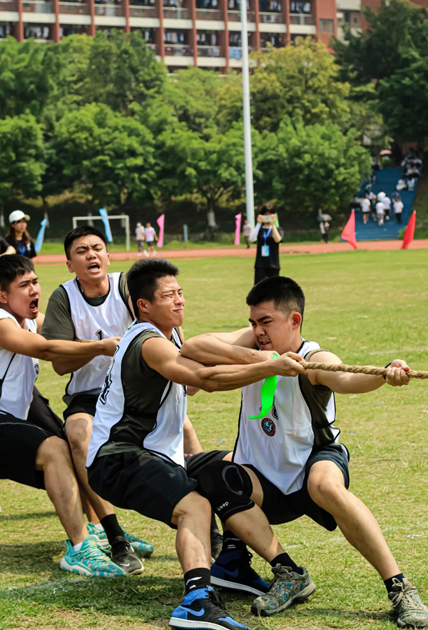 2025新澳门免费原料网