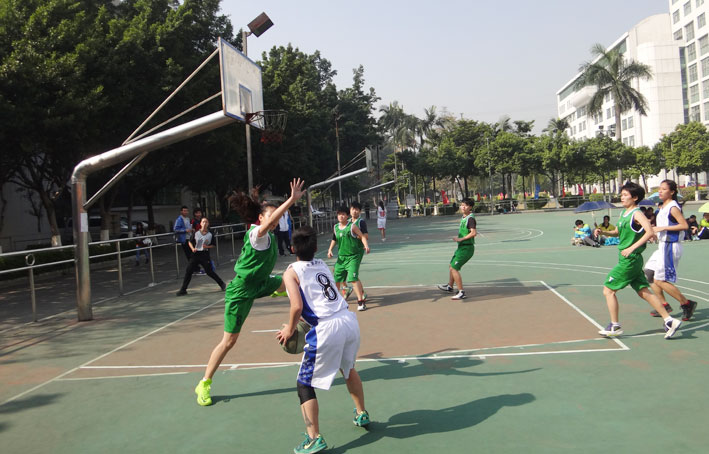 2025新澳门免费原料网