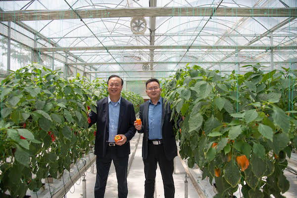 2025新澳门免费原料网