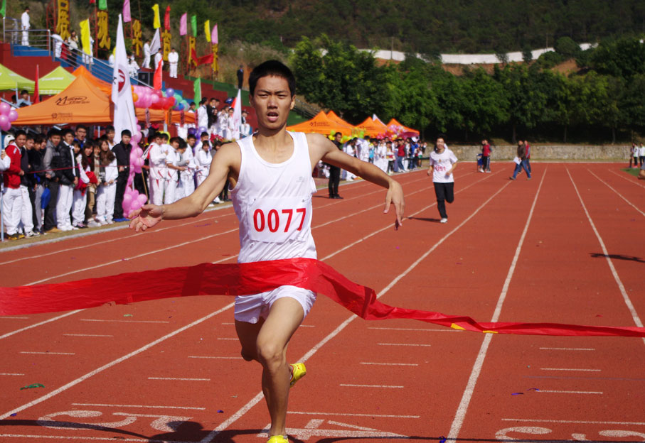 2025新澳门免费原料网