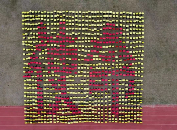 2025新澳门免费原料网