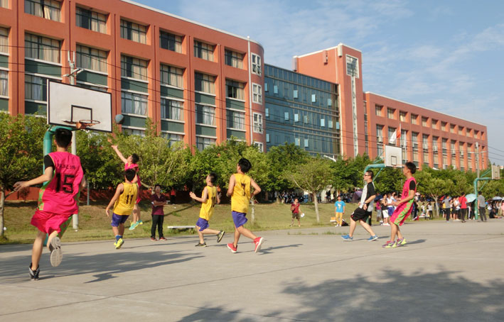 2025新澳门免费原料网