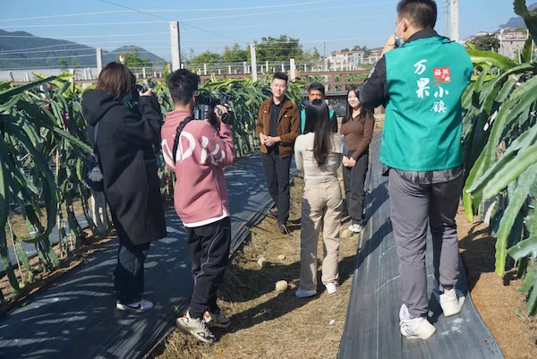 2025新澳门免费原料网