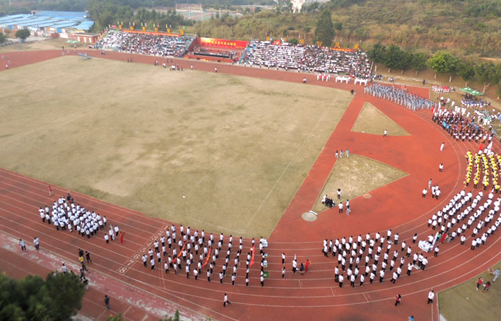 2025新澳门免费原料网