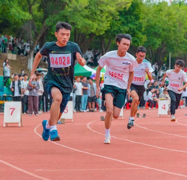 2025新澳门免费原料网