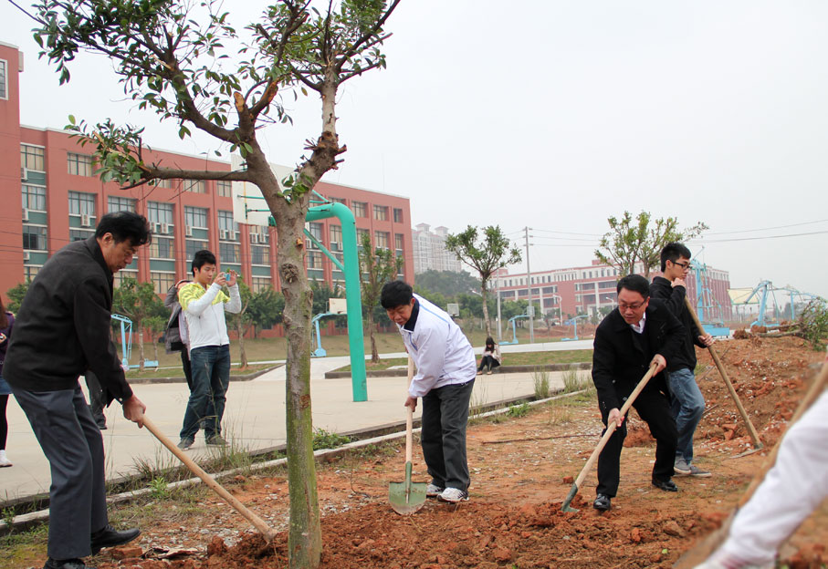 2025新澳门免费原料网