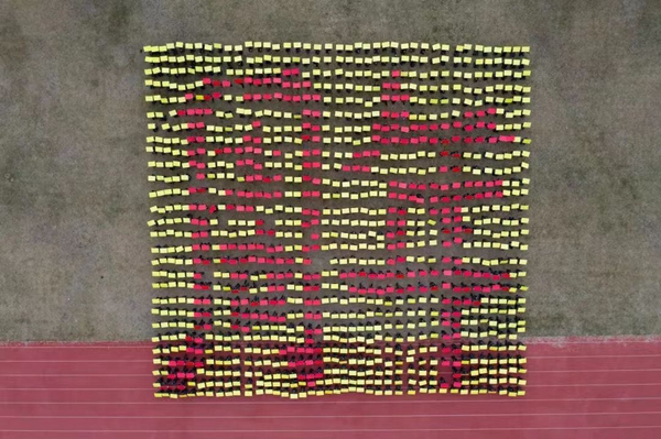 2025新澳门免费原料网