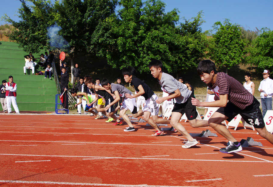 2025新澳门免费原料网