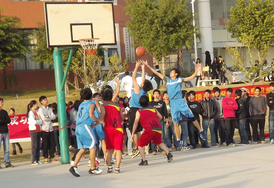 2025新澳门免费原料网