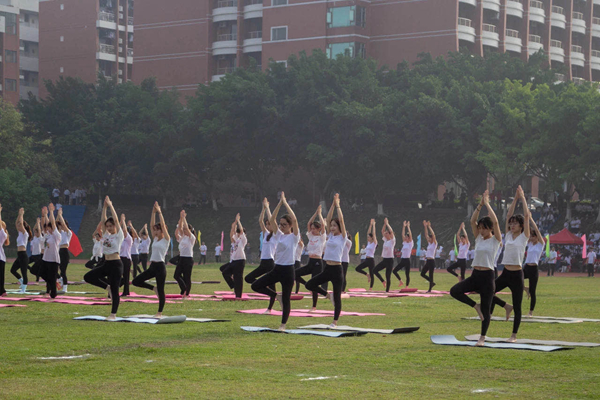 2025新澳门免费原料网