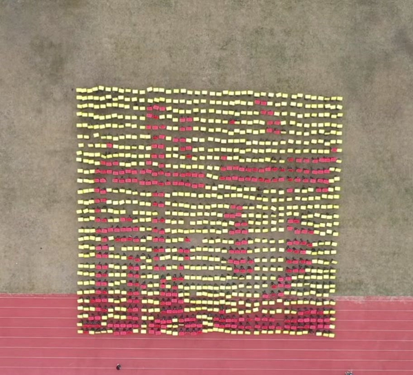 2025新澳门免费原料网