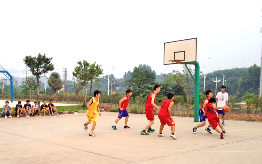 2025新澳门免费原料网