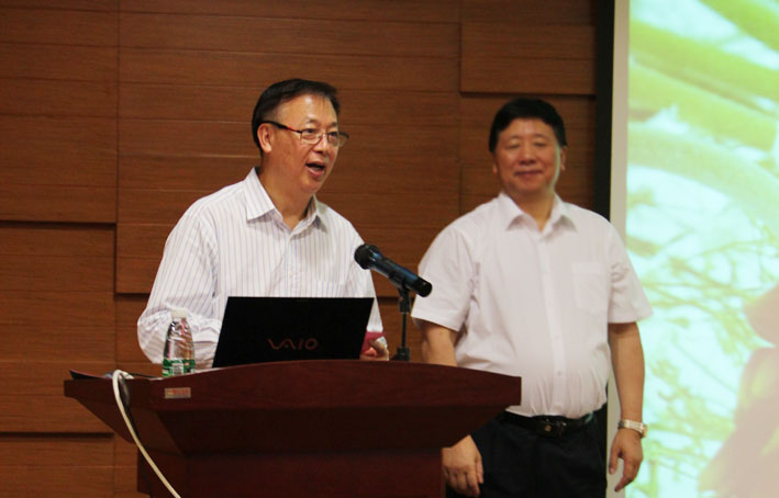 2025新澳门免费原料网