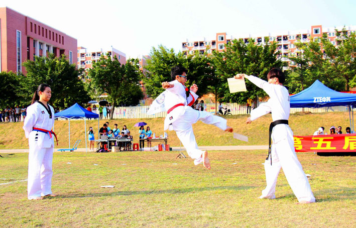 2025新澳门免费原料网