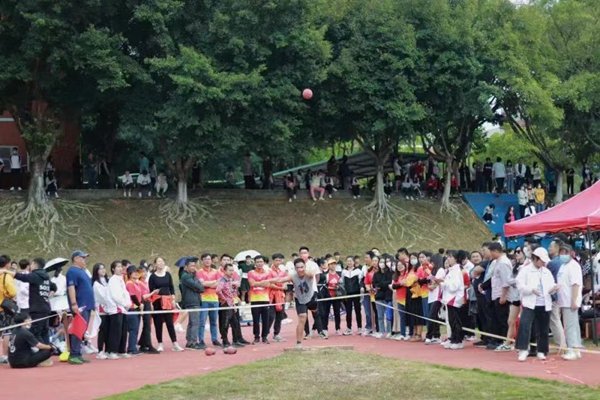 2025新澳门免费原料网