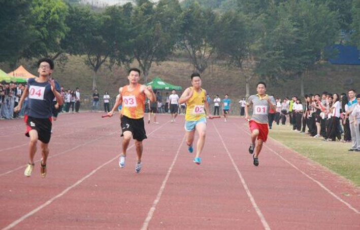 2025新澳门免费原料网