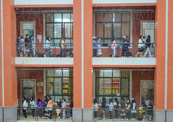 2025新澳门免费原料网