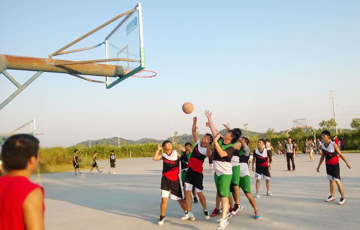 2025新澳门免费原料网