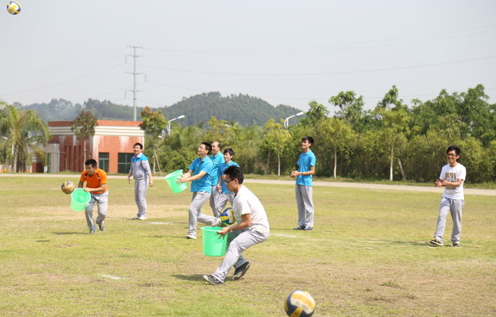 2025新澳门免费原料网
