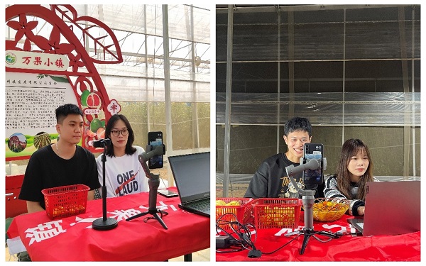 2025新澳门免费原料网