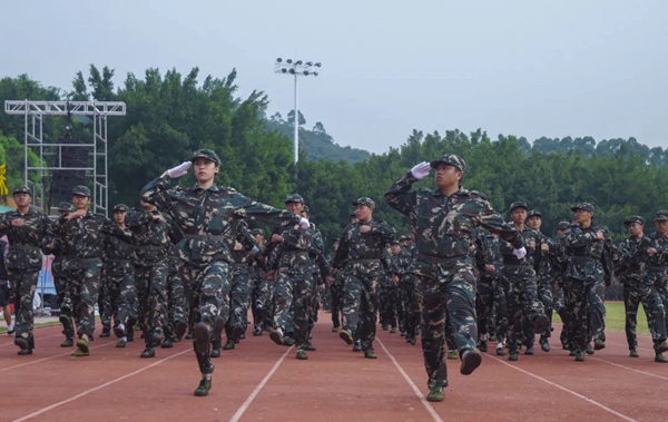 2025新澳门免费原料网