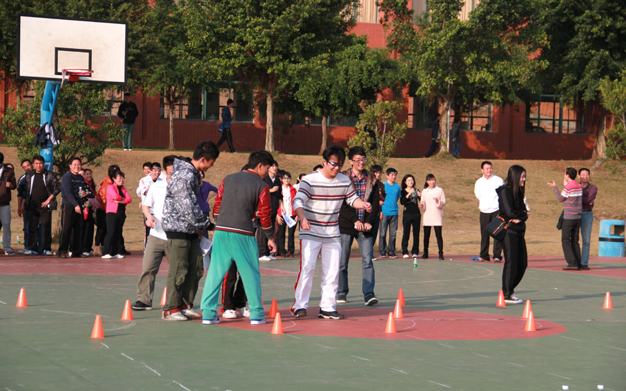 2025新澳门免费原料网