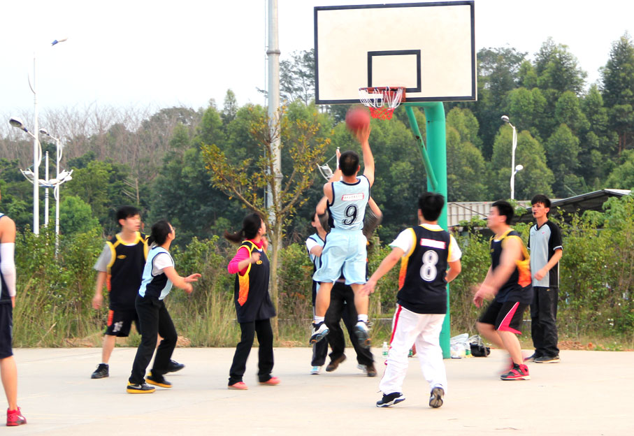 2025新澳门免费原料网