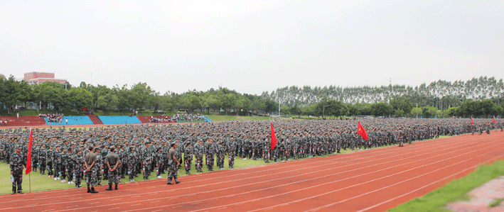 2025新澳门免费原料网