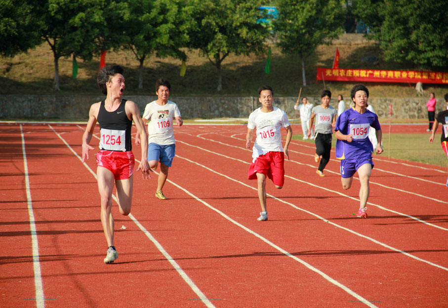 2025新澳门免费原料网