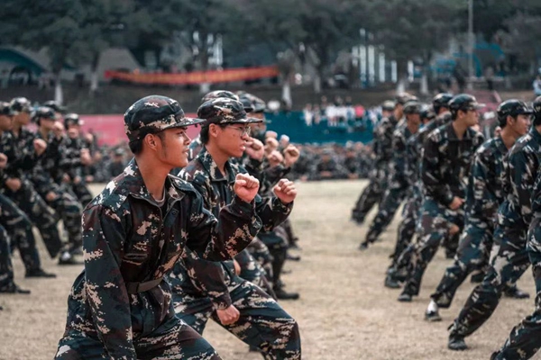 2025新澳门免费原料网