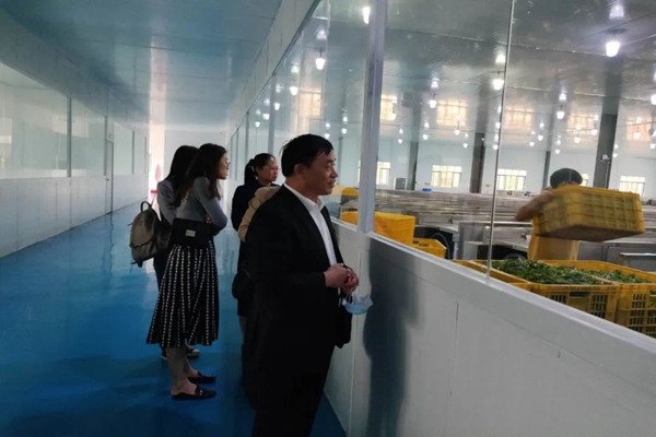 2025新澳门免费原料网