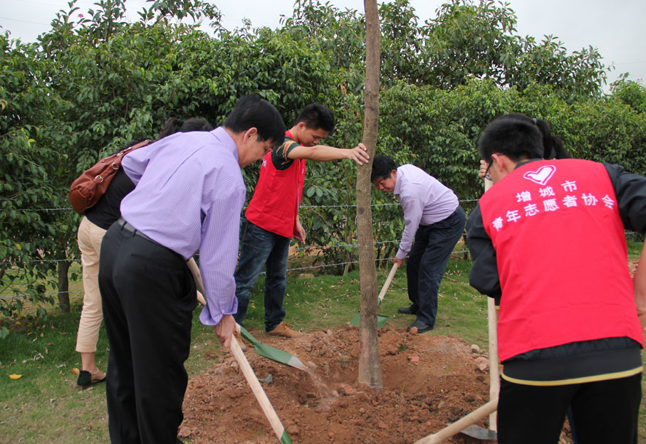 2025新澳门免费原料网