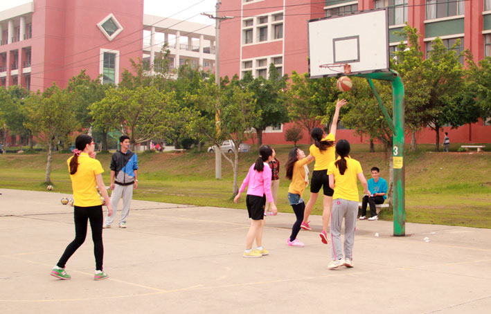 2025新澳门免费原料网