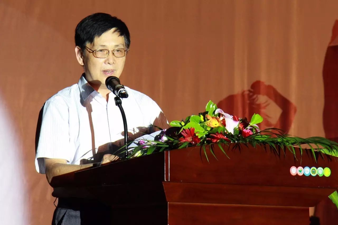 2025新澳门免费原料网