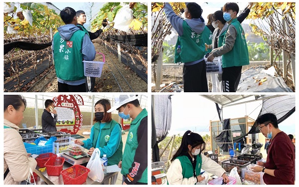 2025新澳门免费原料网