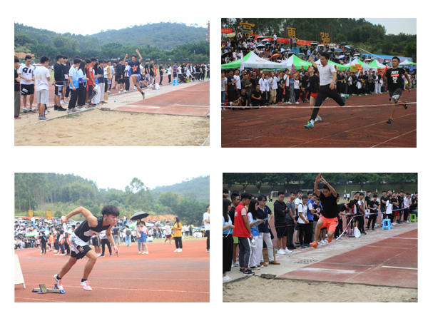 2025新澳门免费原料网