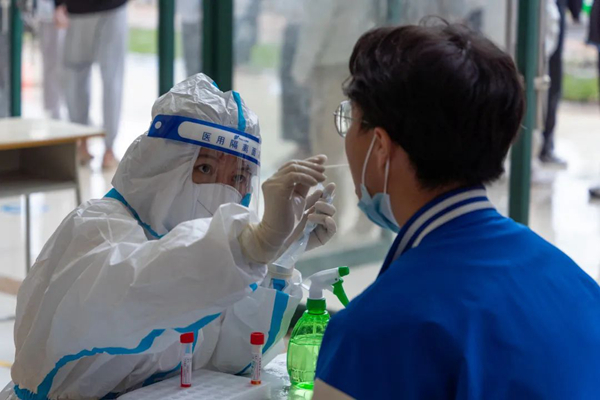 2025新澳门免费原料网