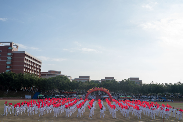 2025新澳门免费原料网