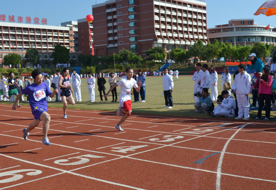 2025新澳门免费原料网